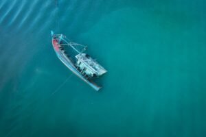 SBN Floating Sinking Aquatic Fish Food - wholesale supplier | AgroFoods Global