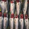California Garden Solid Skipjack Tuna In Sunflower Oil, 170g – Wholesale & Export UAE - wholesale supplier | AgroFoods Global