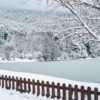 Frozen Snow Crab Cluster HOT SALE - wholesale supplier | AgroFoods Global