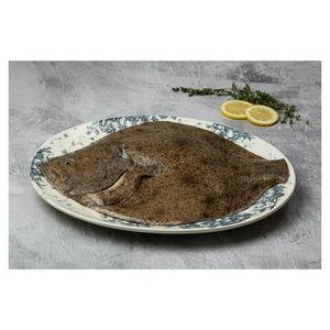 Sound Seafood Whole British Turbot (Approx. 1.55kg)