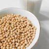 High Quality GMO Yellow Soybeans Soya - wholesale supplier | AgroFoods Global
