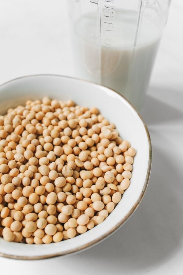 High Quality GMO Yellow Soybeans Soya - wholesale supplier | AgroFoods Global