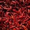 Factory Supply Spicy Dry Chili Dried - wholesale supplier | AgroFoods Global
