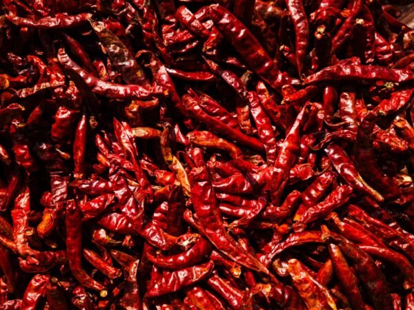 Factory Supply Spicy Dry Chili Dried - wholesale supplier | AgroFoods Global