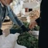 Baby Spinach - wholesale supplier | AgroFoods Global