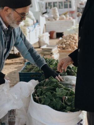 Baby Spinach - wholesale supplier | AgroFoods Global