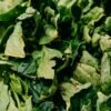 Marietta Spinach 20x400g Bulk Pack – Premium Frozen Spinach for Everyday Use - wholesale supplier | AgroFoods Global