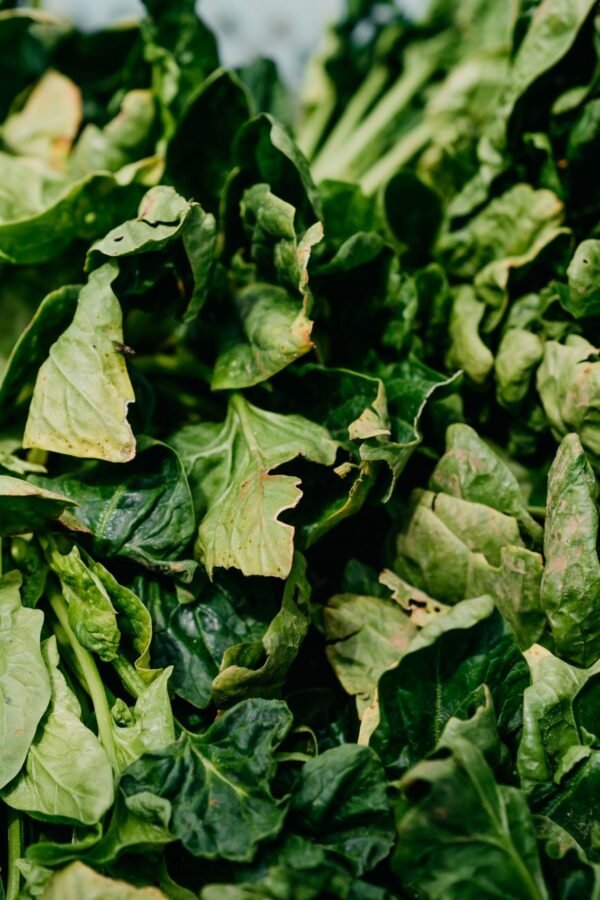 Marietta Spinach 20x400g Bulk Pack – Premium Frozen Spinach for Everyday Use - wholesale supplier | AgroFoods Global