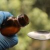Diamond Ginseng Honey Spoon with Royal Jelly, 7g Pack of 10 – Wholesale & Export UAE - wholesale supplier | AgroFoods Global