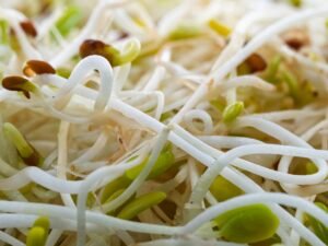 Bean Sprouts 250g UAE – Fresh Mung Bean Sprouts Wholesale Dubai - wholesale supplier | AgroFoods Global