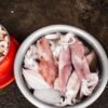Frozen Black Squid Whole Round High - wholesale supplier | AgroFoods Global