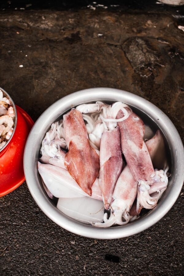 Frozen Black Squid Whole Round High - wholesale supplier | AgroFoods Global