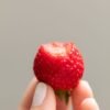 Extra Strawberry Ice Cream Tub 500g – Wholesale & Export UAE - wholesale supplier | AgroFoods Global
