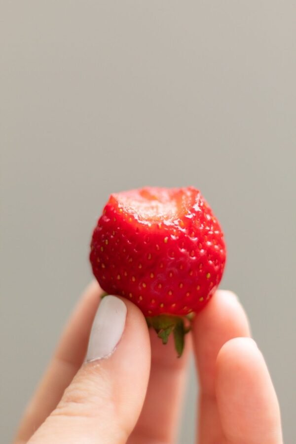 Extra Strawberry Ice Cream Tub 500g – Wholesale & Export UAE - wholesale supplier | AgroFoods Global