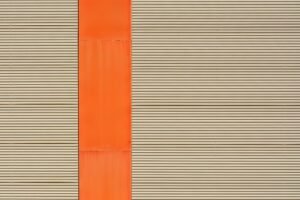 High Quality Stripe Bonito Fish Echter - wholesale supplier | AgroFoods Global