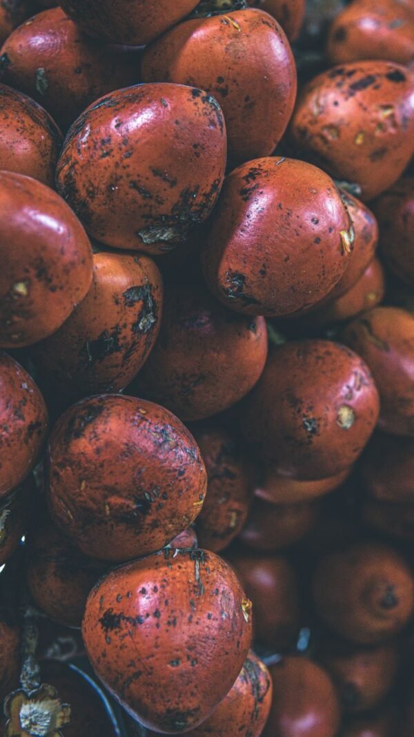 Tamrah Caramel Chocolate Covered Date with Almond, 100g – Wholesale & Export UAE - wholesale supplier | AgroFoods Global