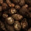 Gulgas (Aravi) UAE – Fresh Taro Root Wholesale Supplier Dubai - wholesale supplier | AgroFoods Global