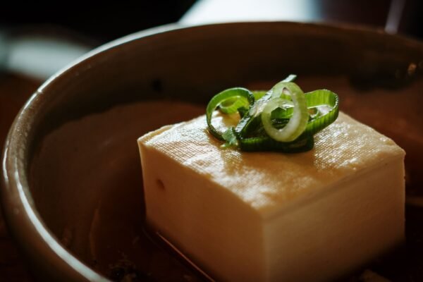 Tofu — Bulk & Wholesale Supply Frozen Fish Tofu Cubes High Protein - wholesale supplier | AgroFoods Global