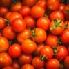 Organic Tomato - wholesale supplier | AgroFoods Global