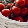 Bio Tomato Juice, 750ml – Wholesale & Export UAE - wholesale supplier | AgroFoods Global