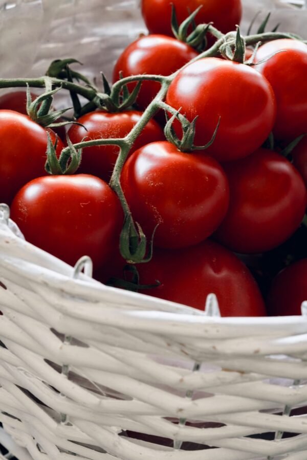Bio Tomato Juice, 750ml – Wholesale & Export UAE - wholesale supplier | AgroFoods Global