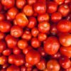 Tomato Cherry 250g UAE – Fresh Cherry Tomatoes Wholesale & Supplier Dubai - wholesale supplier | AgroFoods Global