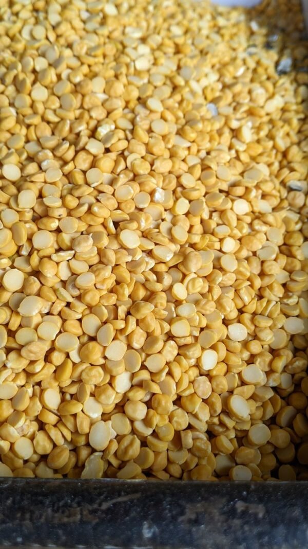Toor — Bulk & Wholesale Supply