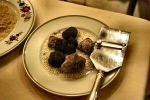 Fresh Black Truffle Price 100 Natural - wholesale supplier | AgroFoods Global