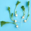 Agrilink Mini Turnip - wholesale supplier | AgroFoods Global