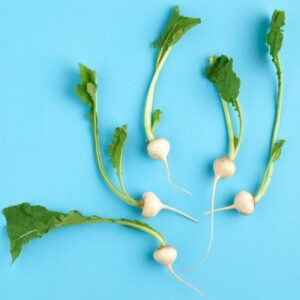 Agrilink Mini Turnip - wholesale supplier | AgroFoods Global
