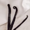 Hot Selling AD Dried Vanilla Beans - wholesale supplier | AgroFoods Global