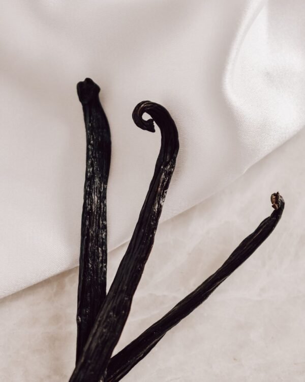 Hot Selling AD Dried Vanilla Beans - wholesale supplier | AgroFoods Global