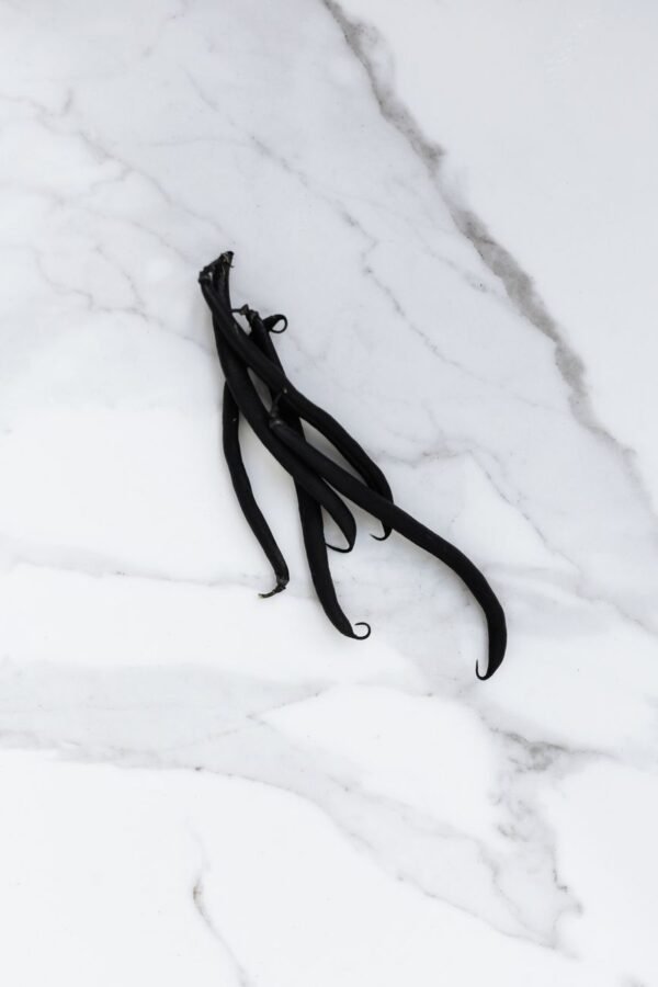Black AD Dried Vanilla Beans Premium - wholesale supplier | AgroFoods Global