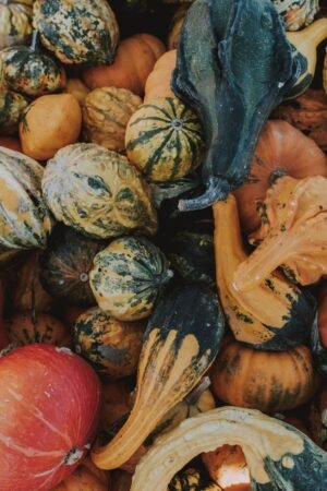 Oem Odm Vitamin C a Variety - wholesale supplier | AgroFoods Global