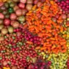 Raw Trinitario Variety Grade a Cocoa - wholesale supplier | AgroFoods Global