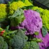 2026 Factory Price Organic Vegetable Raw - wholesale supplier | AgroFoods Global