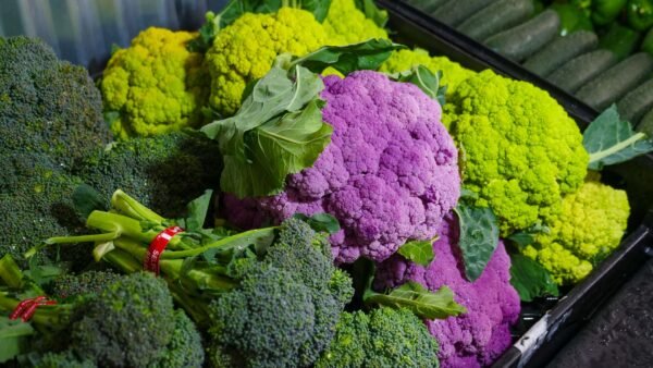 2026 Factory Price Organic Vegetable Raw - wholesale supplier | AgroFoods Global
