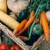 Frozen Mixed Vegetables 20x400g Bulk Pack - wholesale supplier | AgroFoods Global