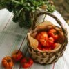 From UAE Vegetables Organic Sweet Potato - wholesale supplier | AgroFoods Global