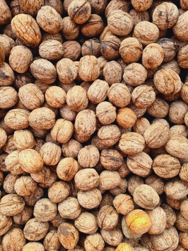 good quality cheap price walnut flavor - wholesale supplier | AgroFoods Global