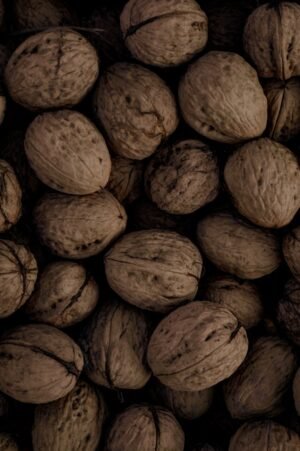 Organic Premium Quality Fresh Healthy Walnut - wholesale supplier | AgroFoods Global