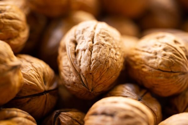2025 Organic High Quality Walnut Kernels - wholesale supplier | AgroFoods Global