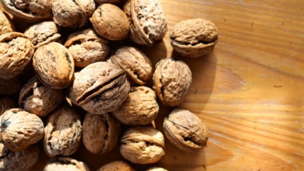 Walnuts With Shell - wholesale supplier | AgroFoods Global