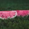 Green Watermelon Long UAE – Fresh Seedless Watermelon Wholesale Dubai - wholesale supplier | AgroFoods Global