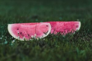 Green Watermelon Long UAE – Fresh Seedless Watermelon Wholesale Dubai - wholesale supplier | AgroFoods Global