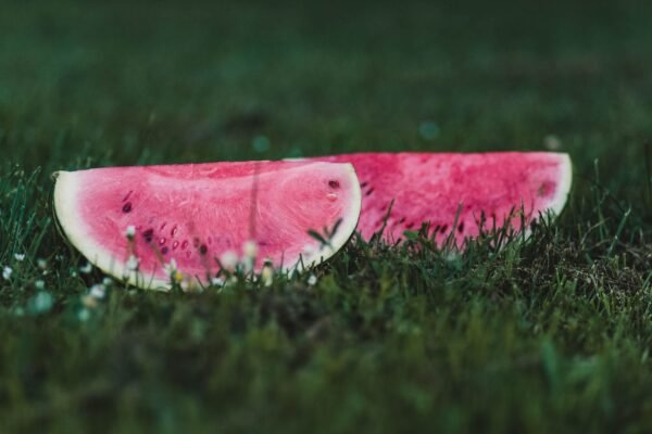 Green Watermelon Long UAE – Fresh Seedless Watermelon Wholesale Dubai - wholesale supplier | AgroFoods Global