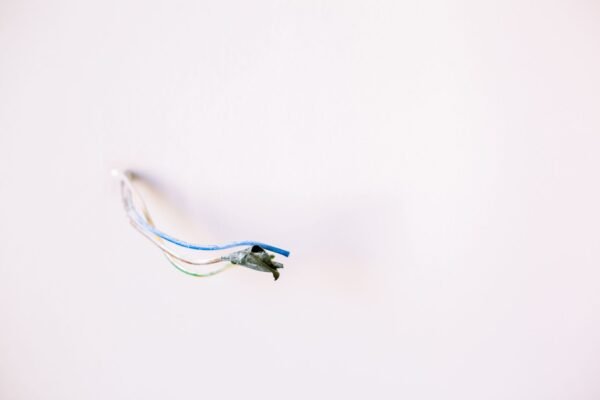Copper Wire Scrap High Stander Quality - wholesale supplier | AgroFoods Global