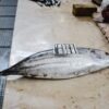 Ortiz Yellowfin Tuna In Olive Oil 220g – Wholesale & Export UAE - wholesale supplier | AgroFoods Global