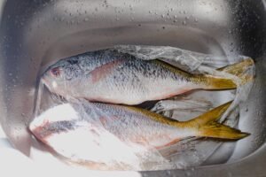Frozen Yellowtail Fish Yellow Scad Whole - wholesale supplier | AgroFoods Global