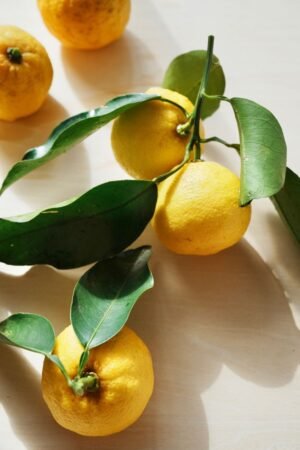 Japanese Mayonnaise In Black Truffle Yuzu - wholesale supplier | AgroFoods Global